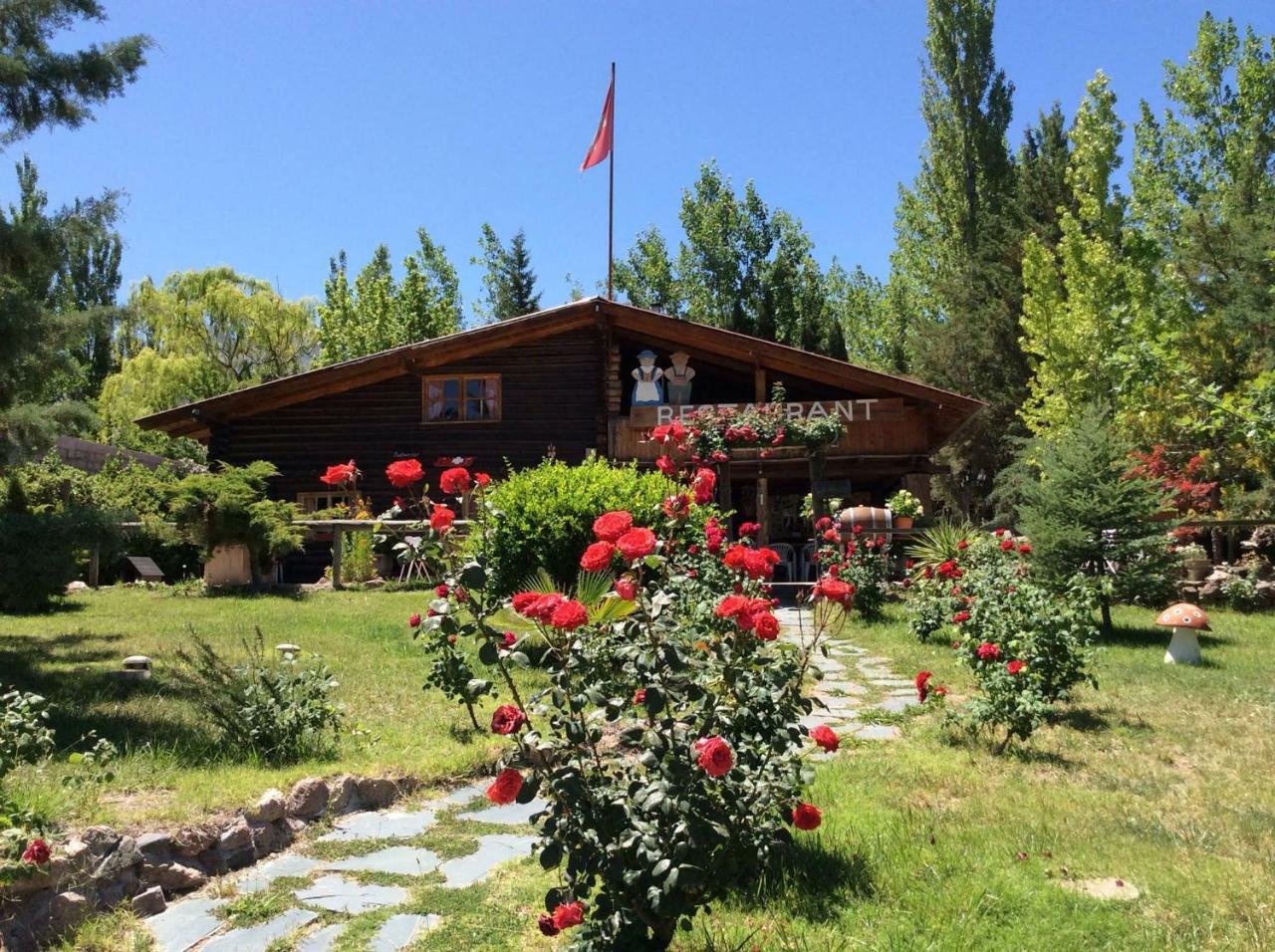 Chalet Pica Piedra *